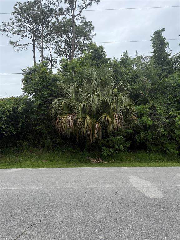 38 Squash Blossom Trail - Photo 1