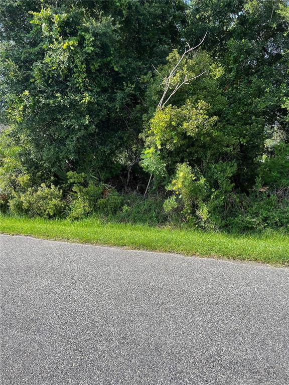 10 Buffalo Meadow Lane - Photo 1