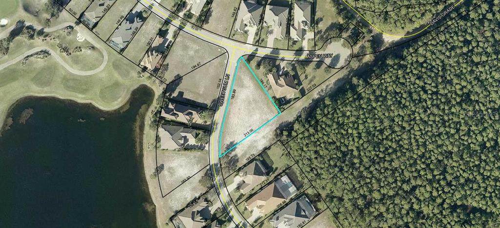 515 Sweetgum Lane Lane - Photo 1