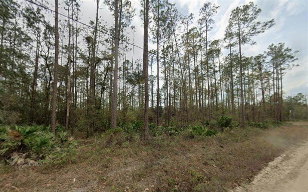 0 Glisson Street - Photo 1
