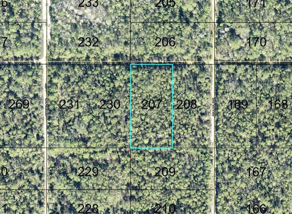 207 Donna Street - Photo 1