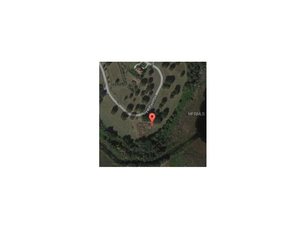 Lot 32 Royal Palm Dr - Photo 1