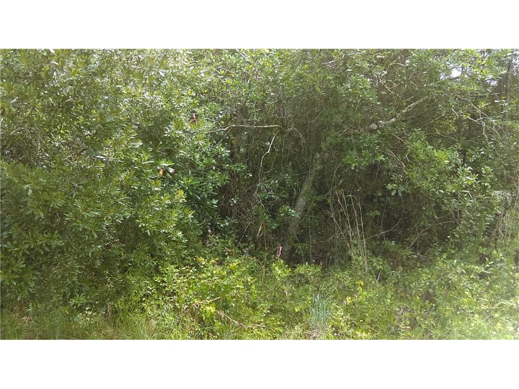 Berry Groves Road - Photo 1