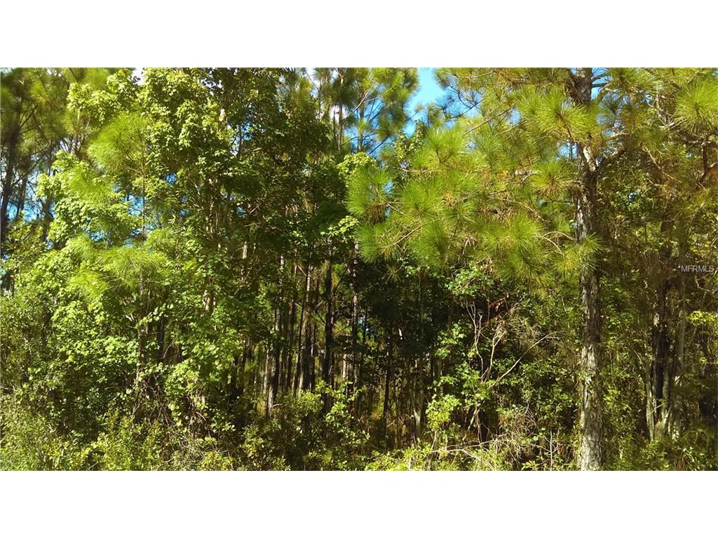 Off Of Xeroscape Nursery Rd - Photo 1