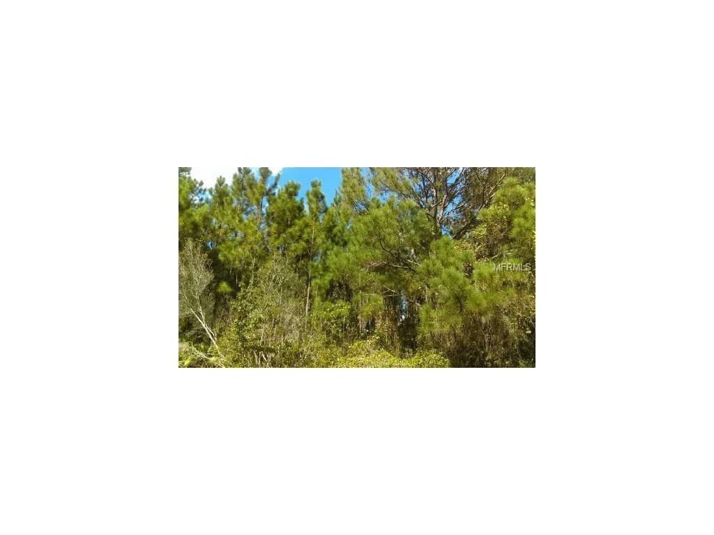 Water Road - Photo 1