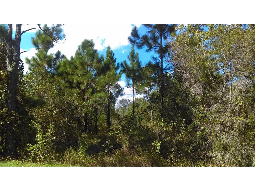 Water Road - Photo 1