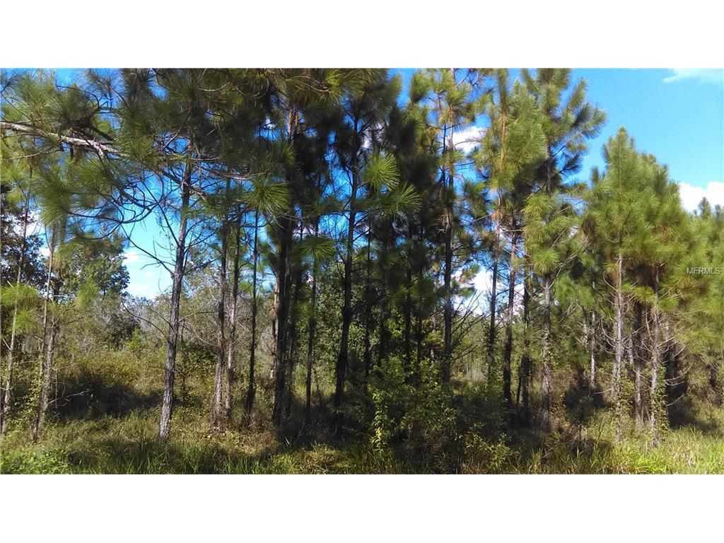 Water Road - Photo 1
