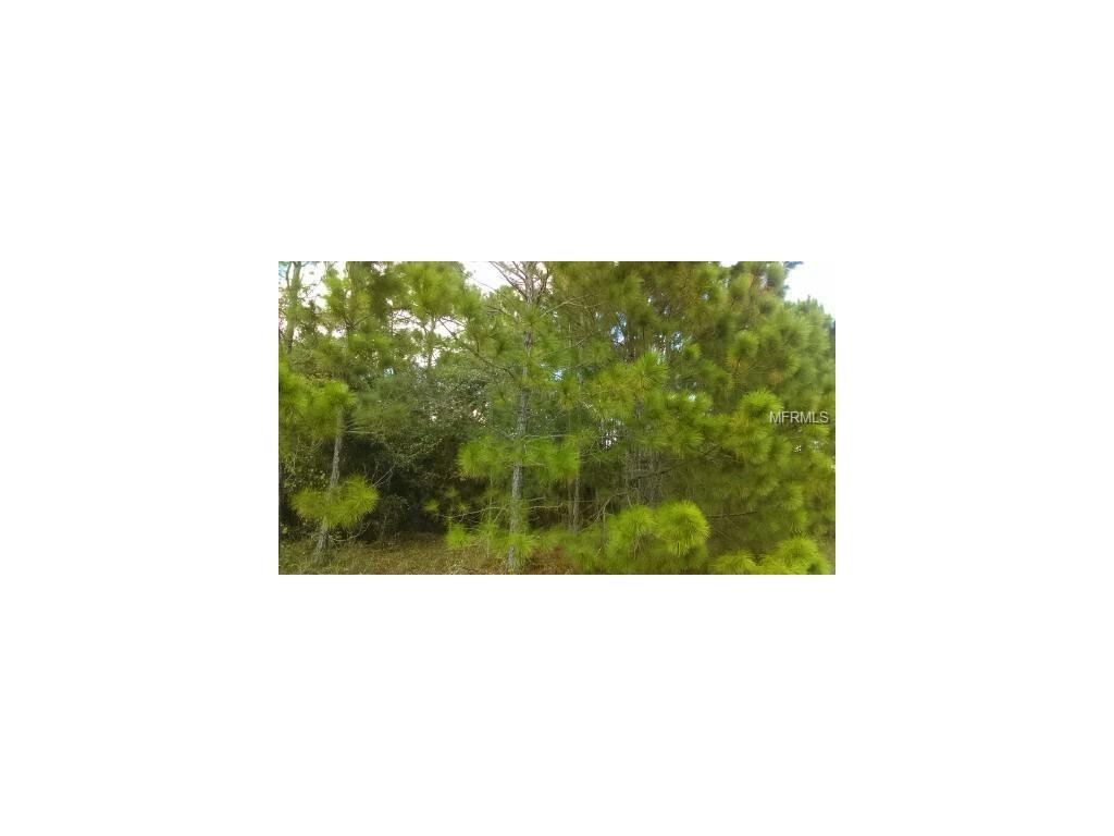 Water Road - Photo 1