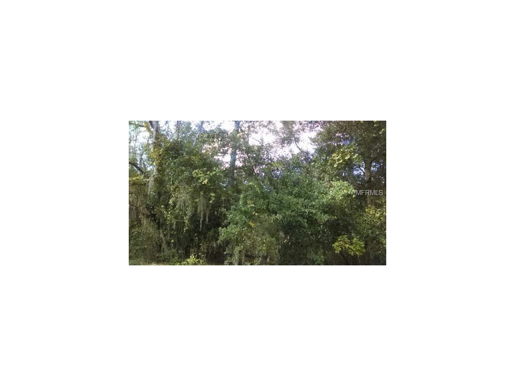 Water Road - Photo 1