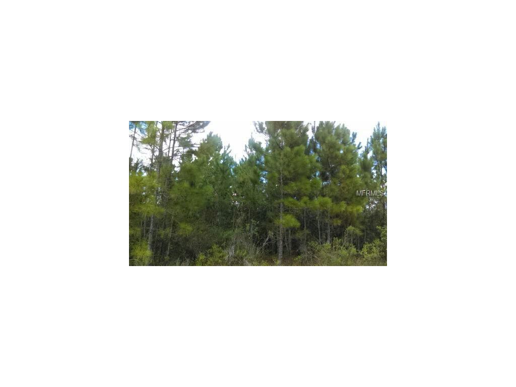 Water Road - Photo 1