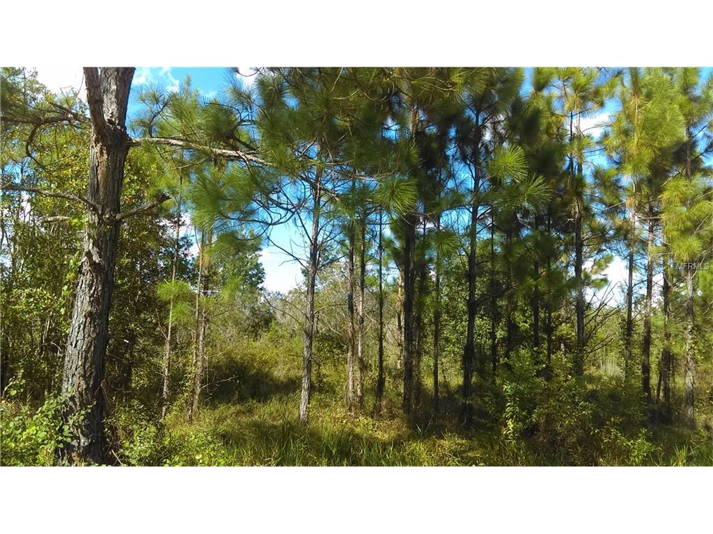 Water Road - Photo 1