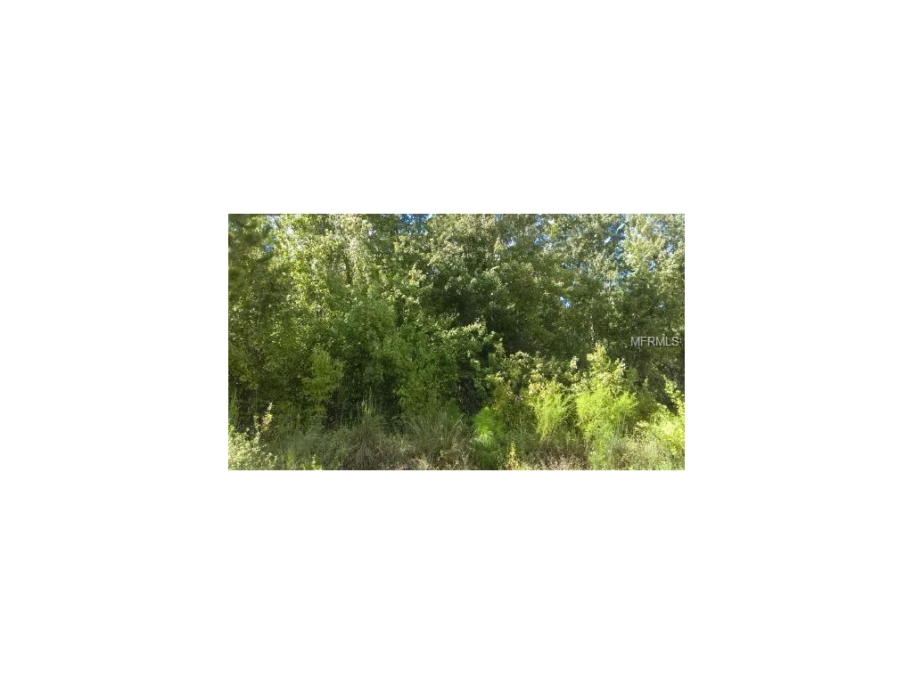 Water Road - Photo 1