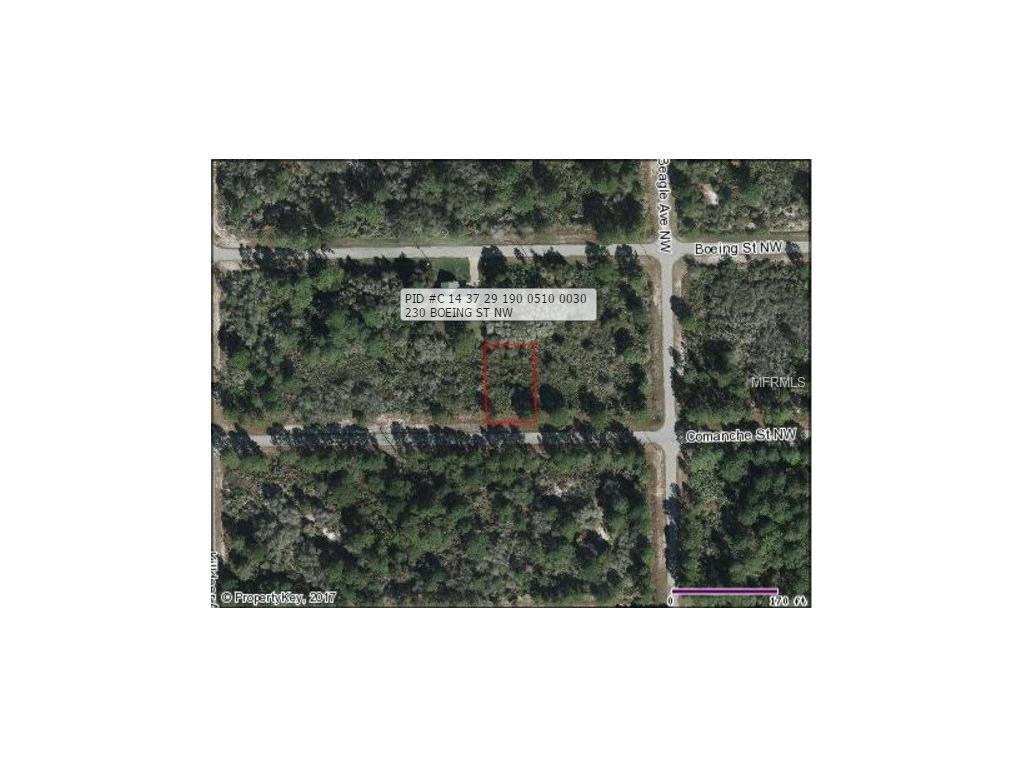 225 Comanche Street - Photo 1