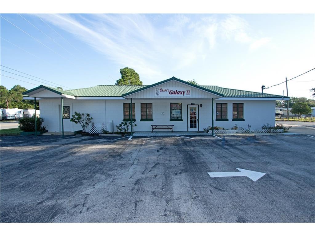 33202 County Road 473 - Photo 1