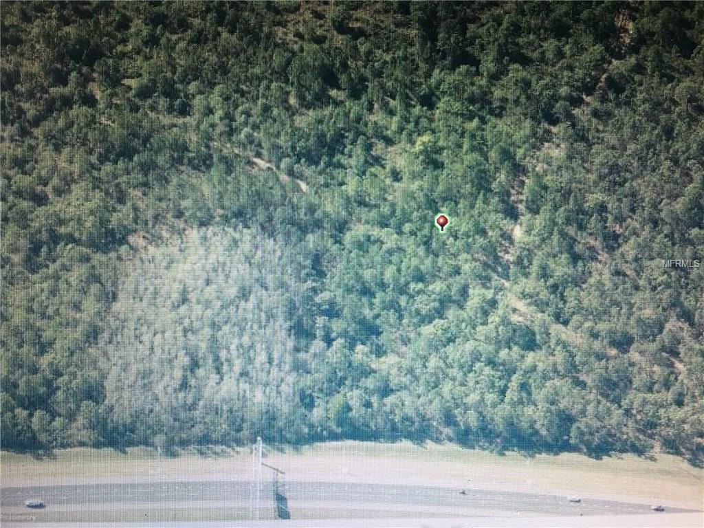 Apopka Vineland - Photo 1