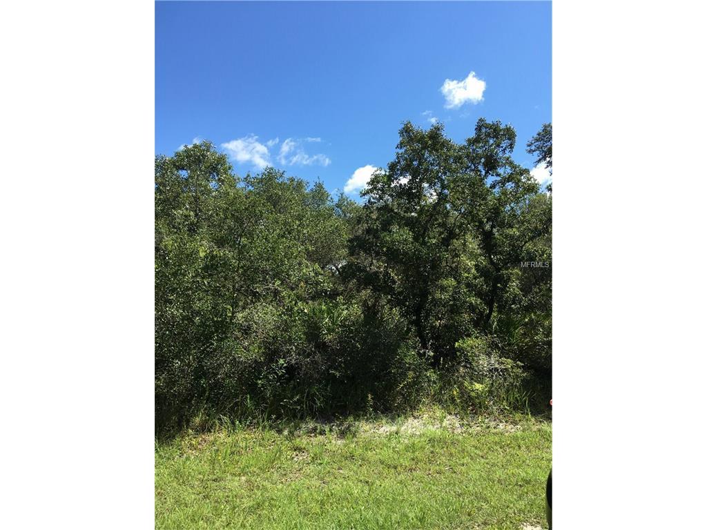 34334 Berryhill Drive - Photo 1