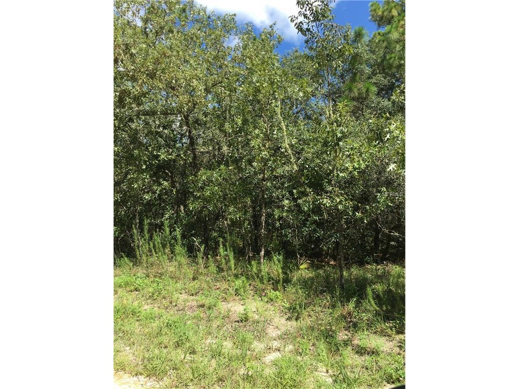 35387 Butternut Drive - Photo 1