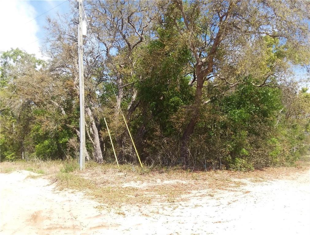 Camphor Road - Photo 1