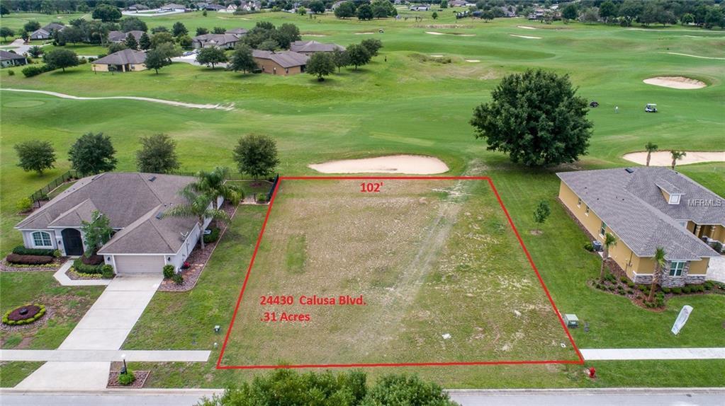 24430 Calusa Blvd - Photo 1