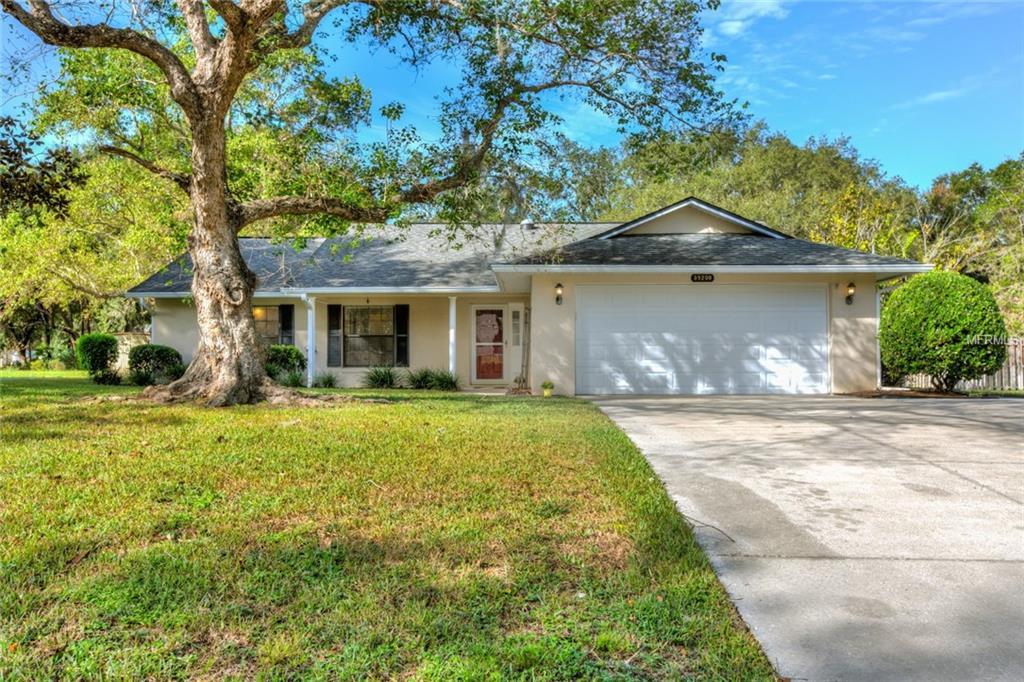 35208 Silver Oak Drive - Photo 1