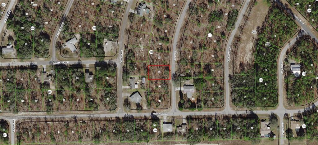 10064 Ruth Terrace - Photo 1