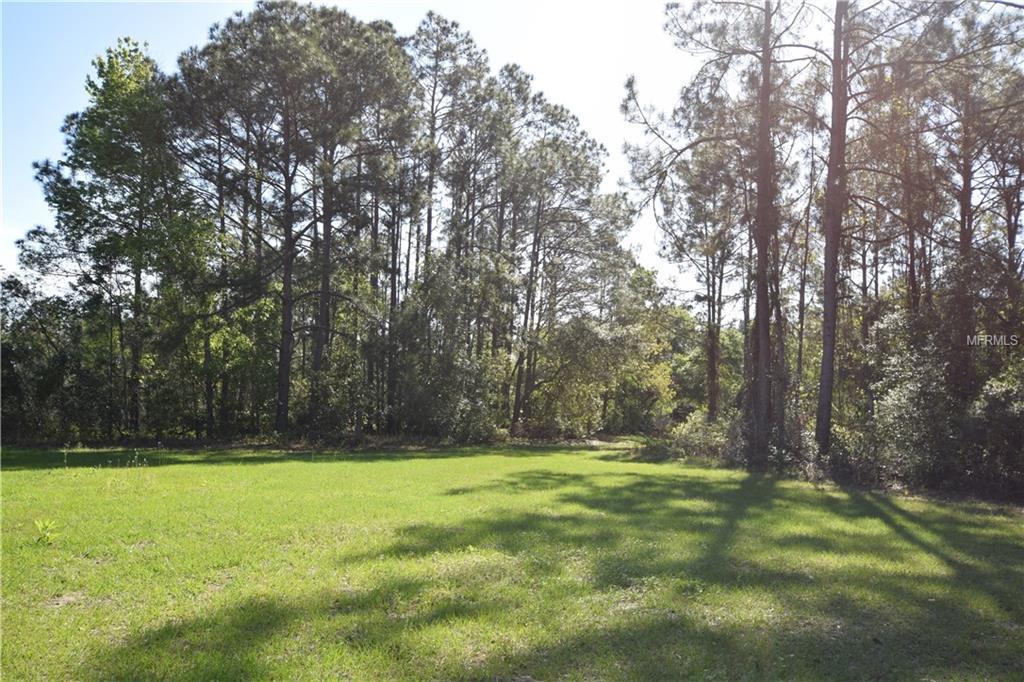 19100 County Road 33 - Photo 1