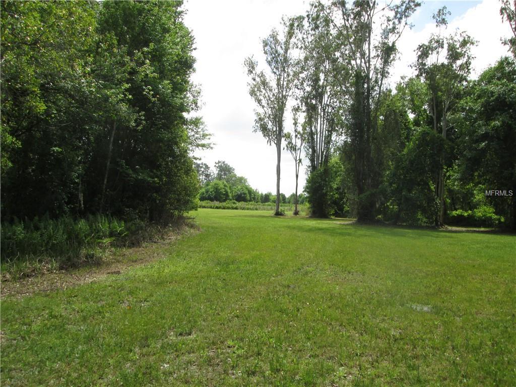 14116 Carter Island Road - Photo 1