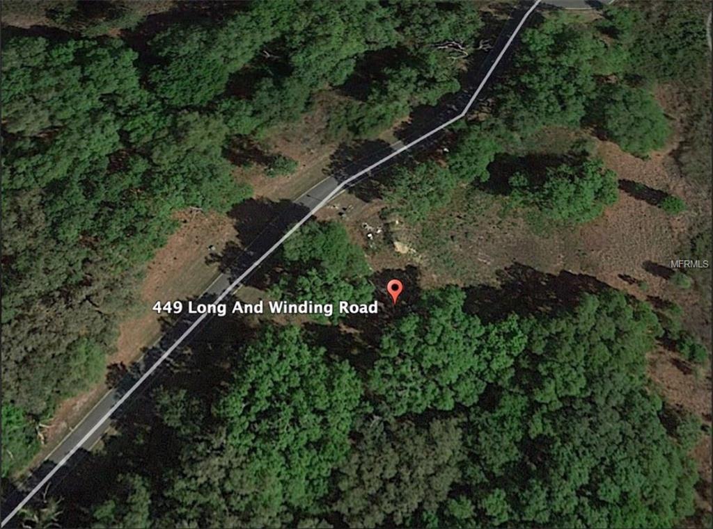 449 Long And Winding Road - Photo 1