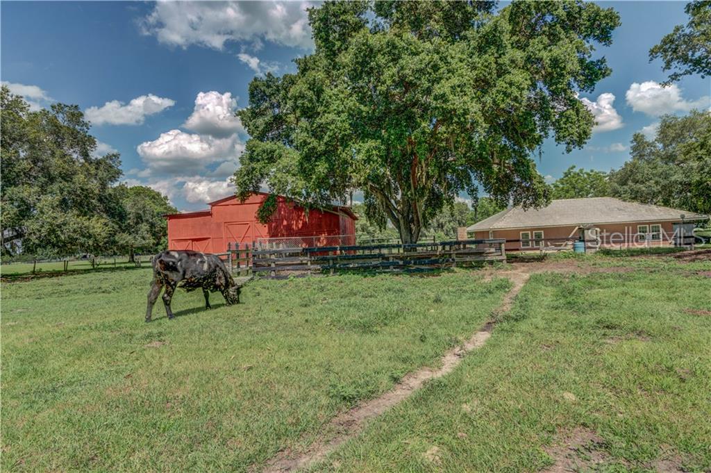 6415 Se 57Th Rd - Photo 1