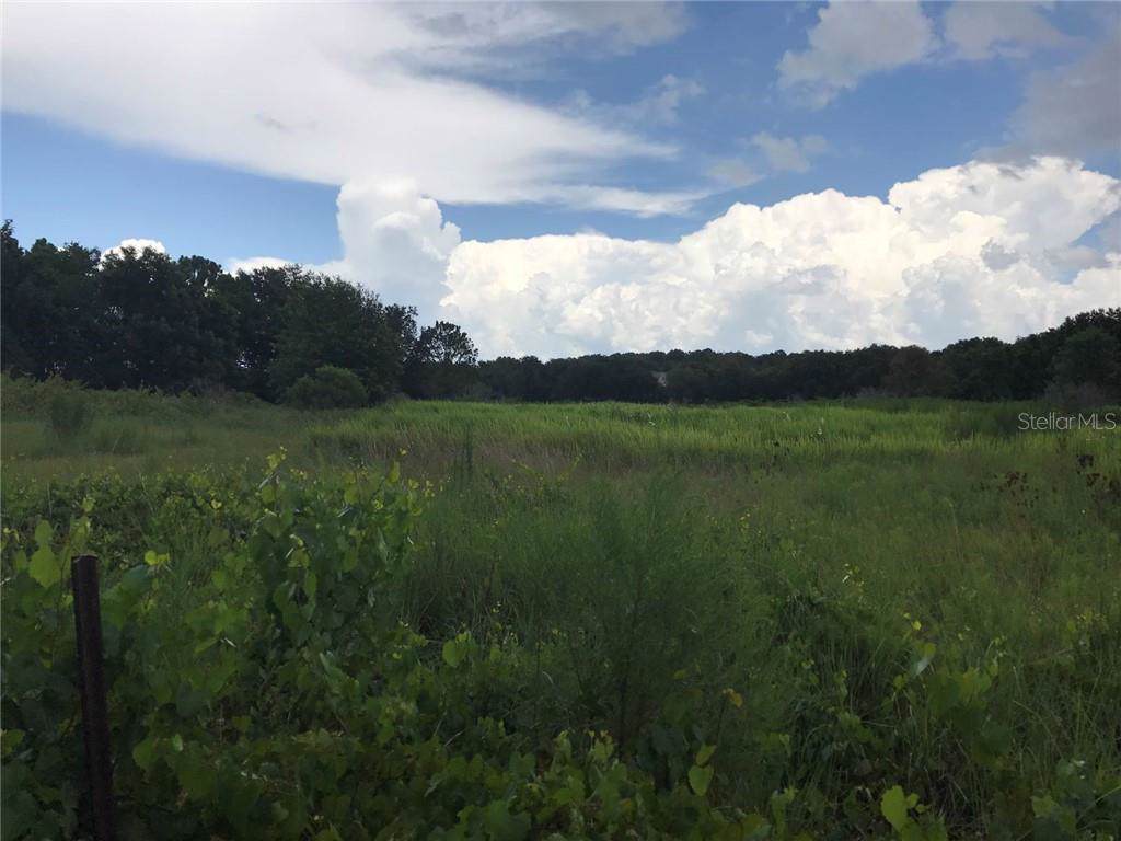 Coralwood Lane - Photo 1