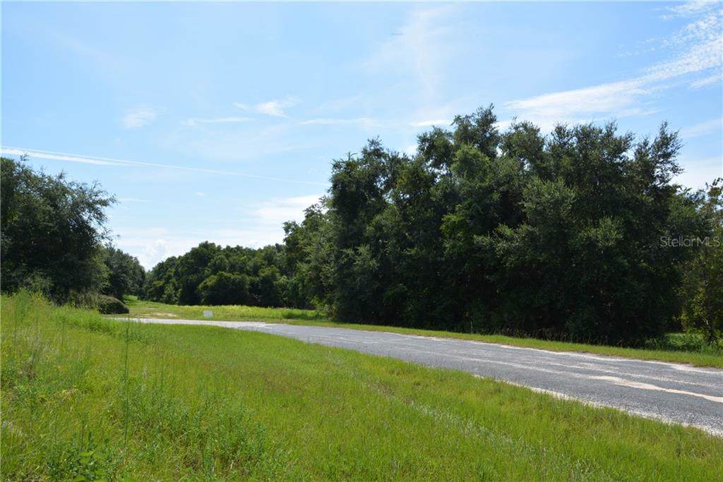 19501 Independence (Aka 7803 Lewis Grove Rd) Boulevard - Photo 1