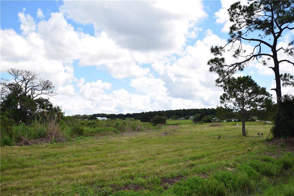 Pine Island Road - Photo 1