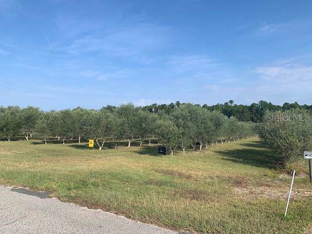 8066 Lake Nellie Road - Photo 1