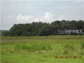 16829 Phil C Peters Road - Photo 1