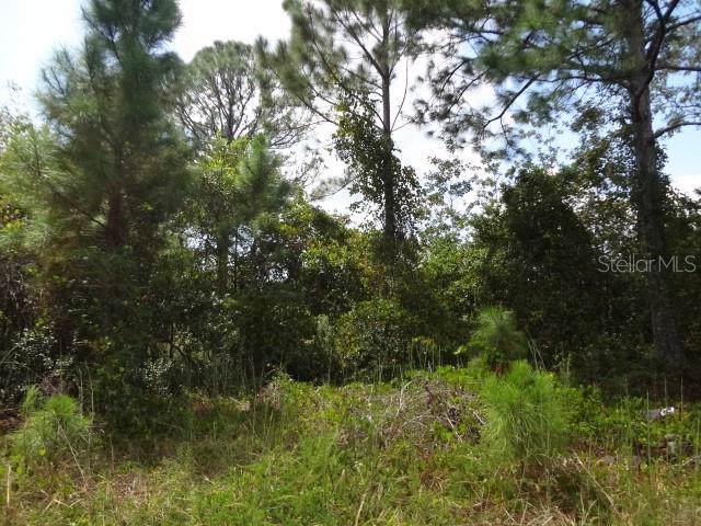Bluebell Avenue - Photo 1