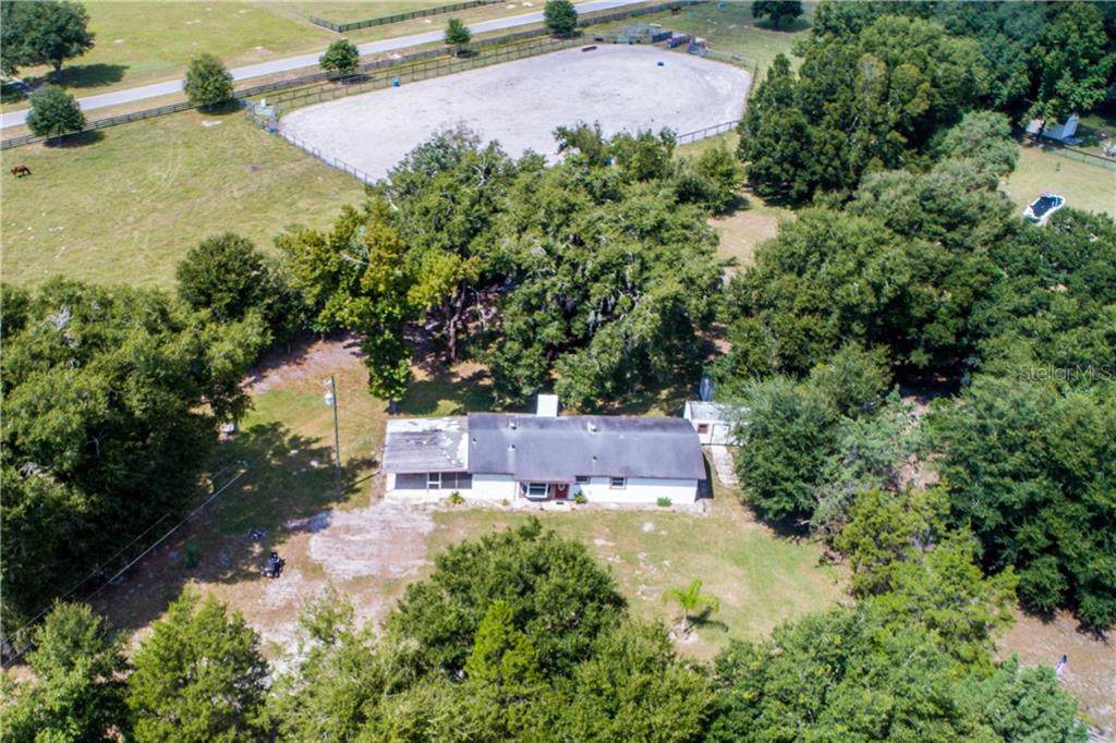 36701 Pinehaven Road - Photo 1