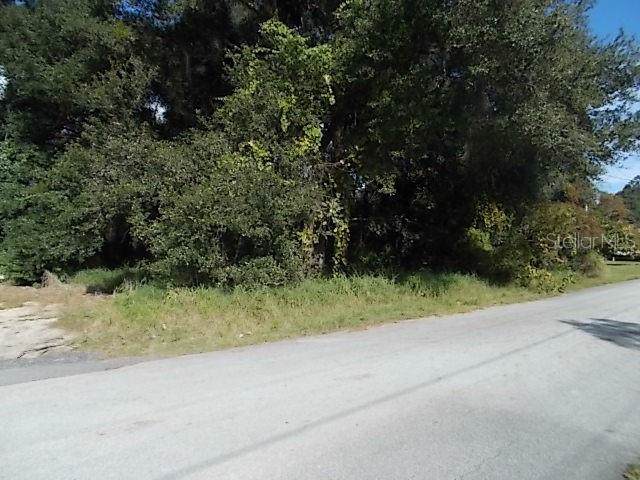 Wayne Road - Photo 1