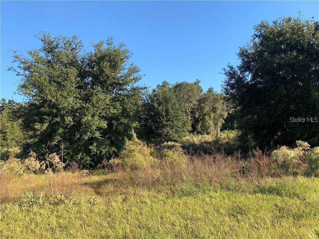 0 Cross Country (Lot 18) Boulevard - Photo 1