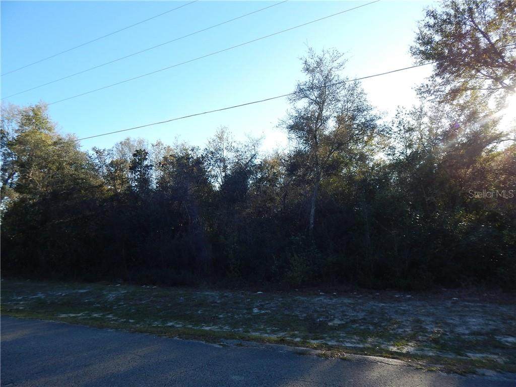 Pine Ridge Road - Photo 1