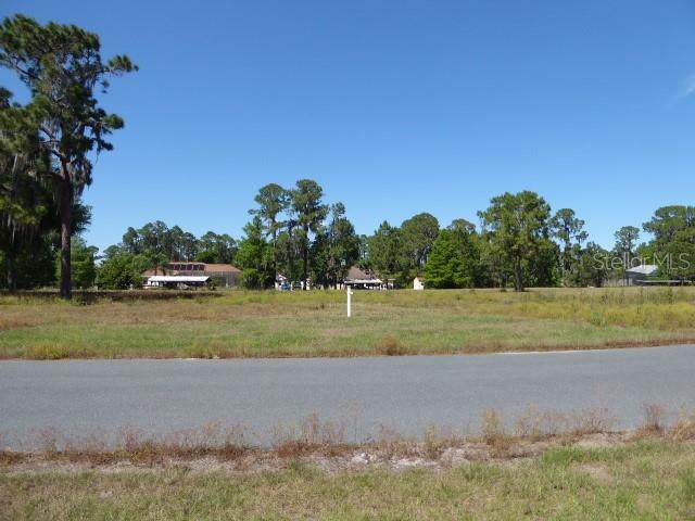 34952 Golden Tree Drive - Photo 1