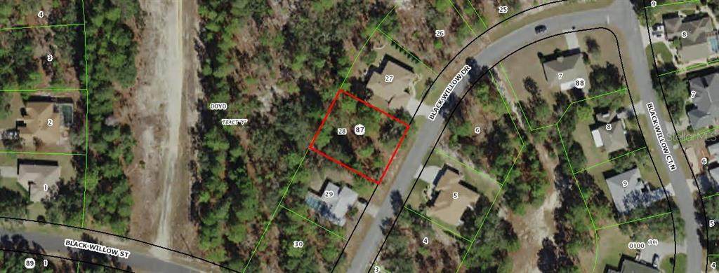 6 Black Willow Drive - Photo 1