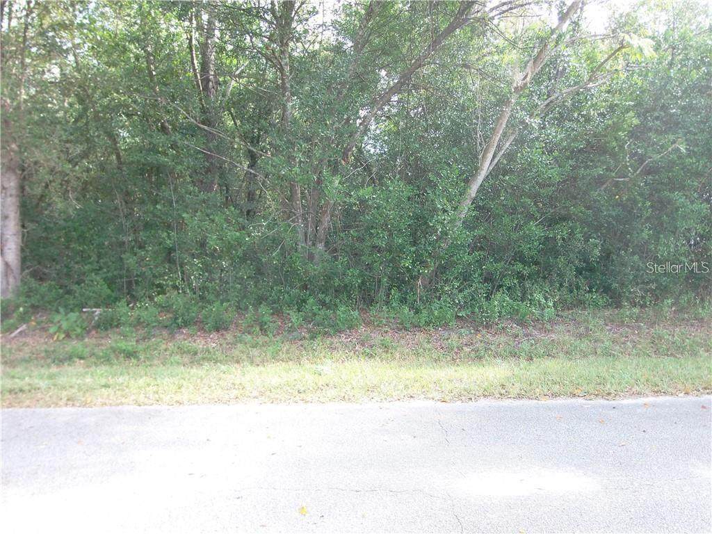 125TH Lane - Photo 1