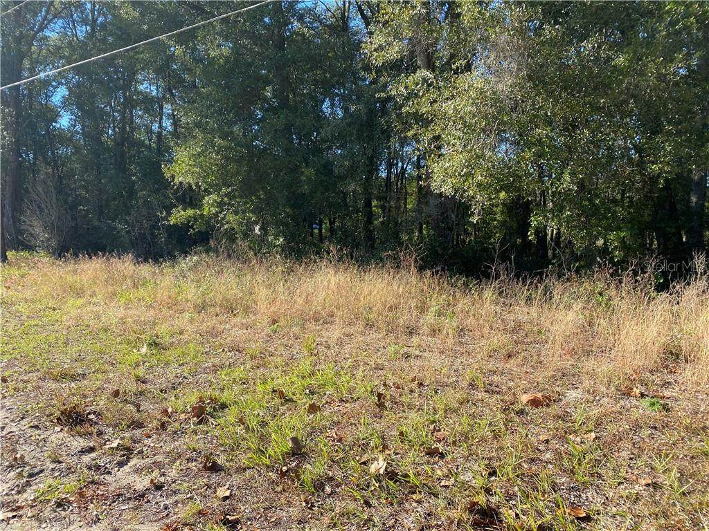 13991 Highway 464C - Photo 1