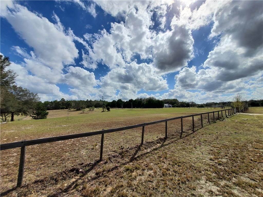 36706 Leslye Lane - Photo 1