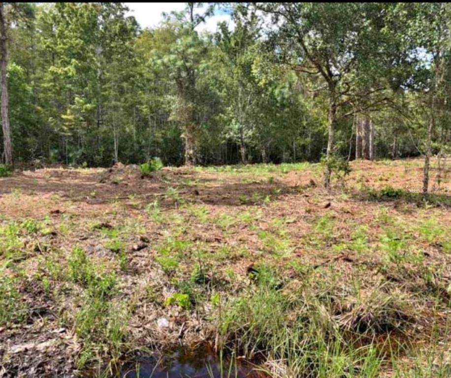 0 Crabgrass Road - Photo 1