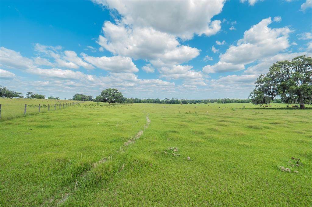 8427 Pleasant Grove Road - Photo 1