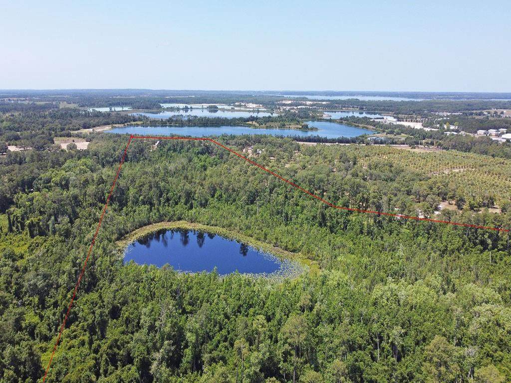 14415 County Road 448 - Photo 1