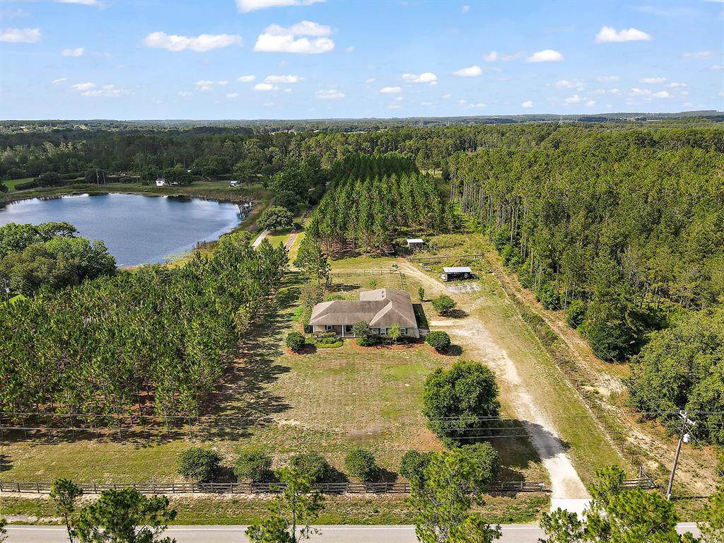 10042 Dewey Robbins Road - Photo 1