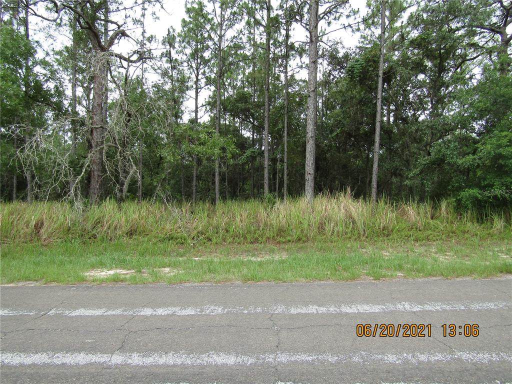 3502 Brazilnut Road - Photo 1