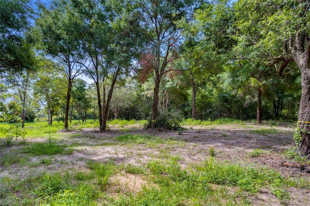 Wolf Springs Court - Photo 1
